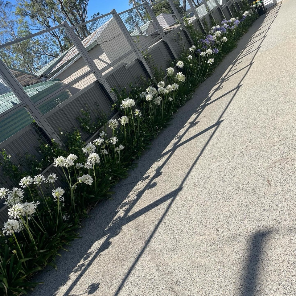 Garden Design & Soft Landscaping