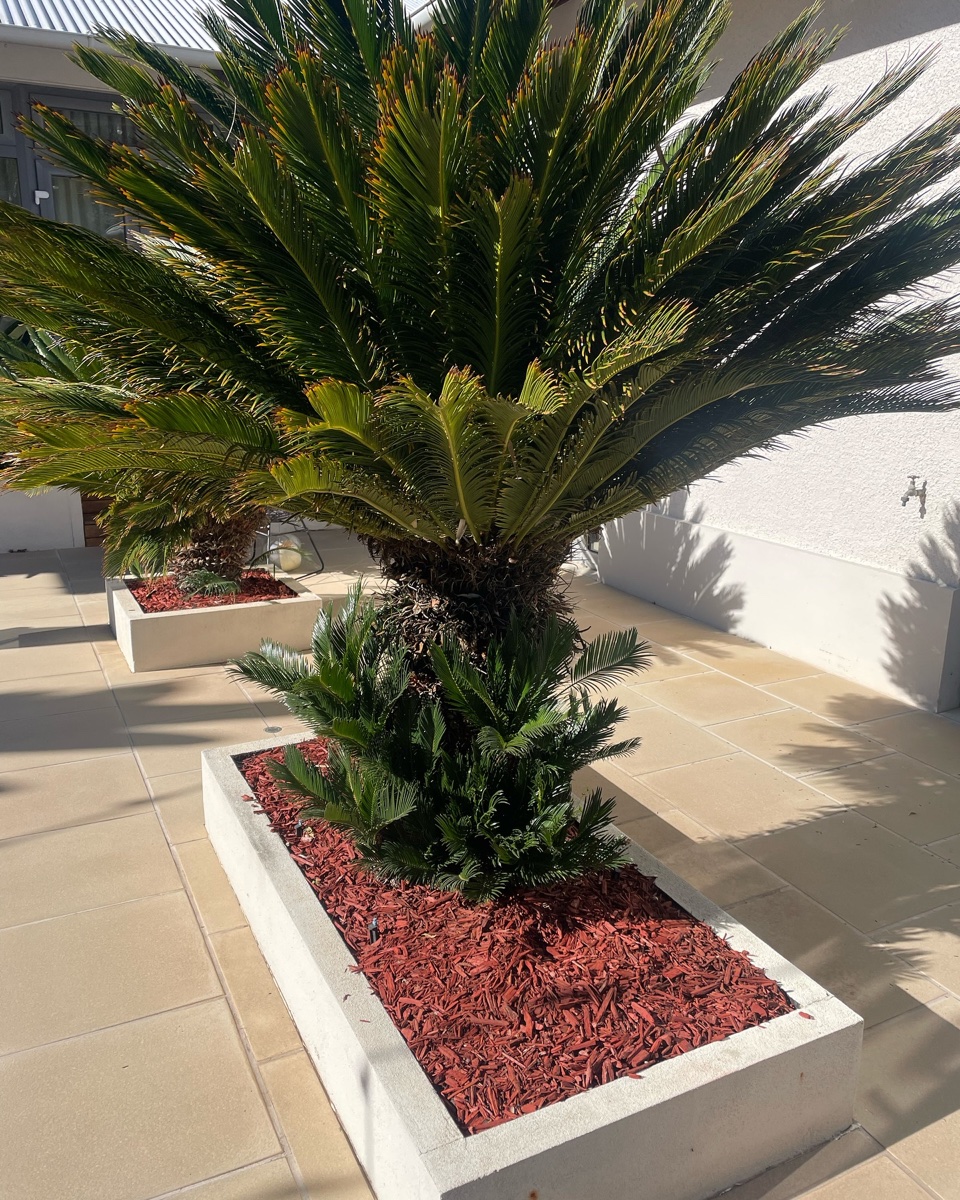 Garden design in Berwick